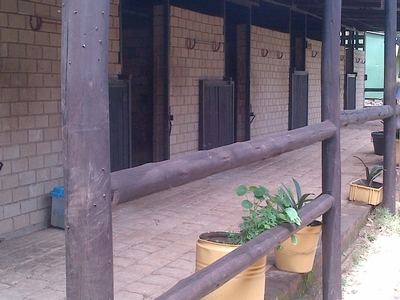 Glen Austin Stables